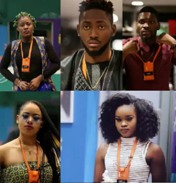 #BBNaija2018 : Meet the Top 5 finalist of the 2018 Big Brother Naija show